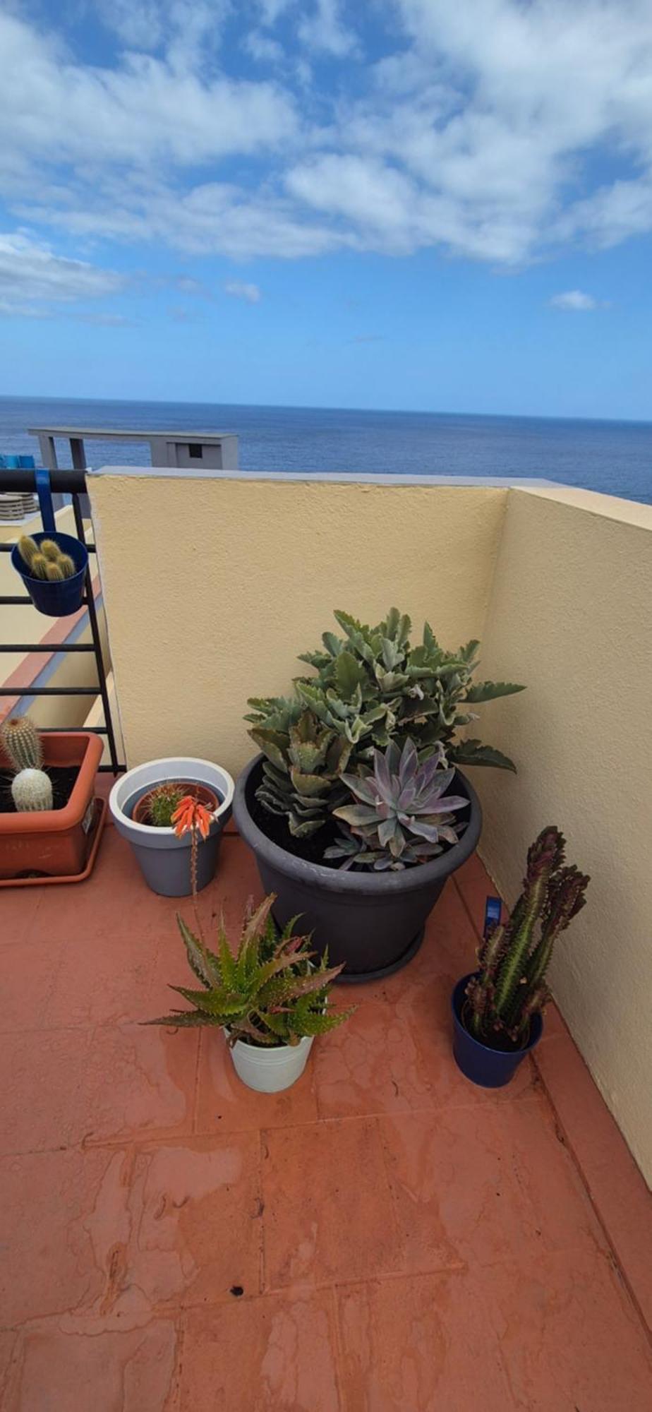 Meerblick Caletillas Candelaria Extérieur photo